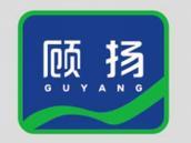 顾扬