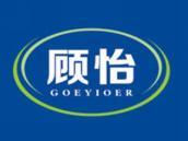顾怡