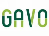 GAVO