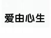 爱由心生