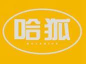 哈狐