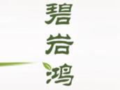 碧岩鸿