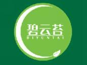 碧云苔