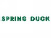 SPRINGDUCK