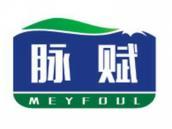 脉赋
