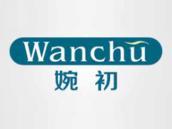 婉初
