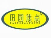 田园焦点