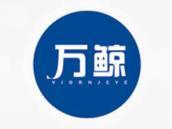 万鲸
