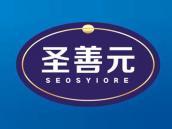圣善元