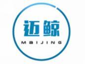 迈鲸