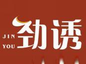 劲诱
