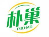 朴巢