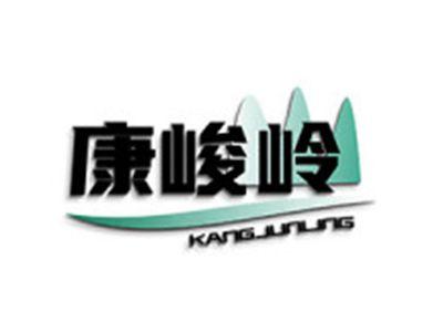 康峻岭