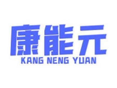 康能元