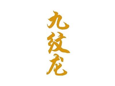 九纹龙
