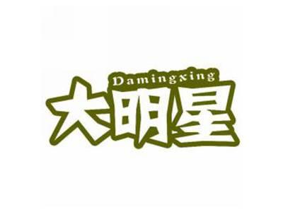 大明星