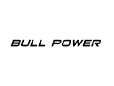 BULLPOWER