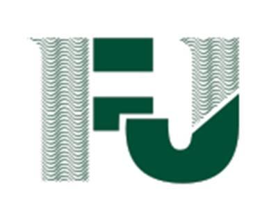FJ图形