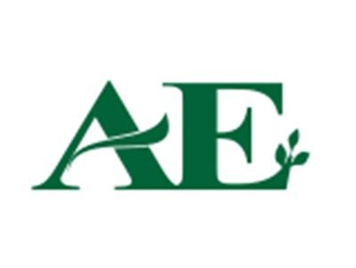 AE图形