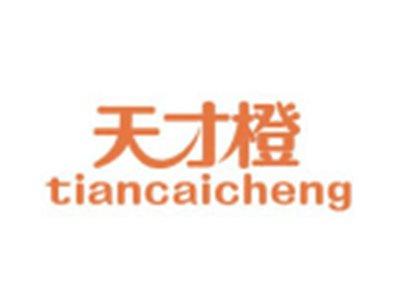 天才橙TIANCAICHENG