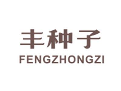 丰种子FENGZHONGZI