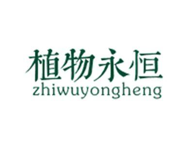 植物永恒ZHIWUYONGHENG