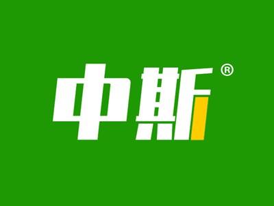 中斯