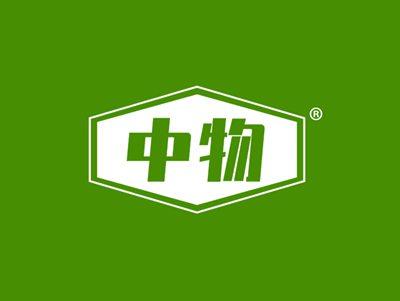 中物
