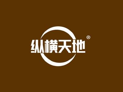 纵横天地