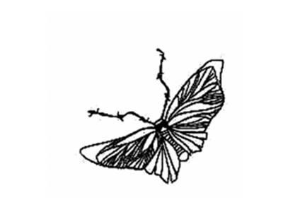 蜜蜂