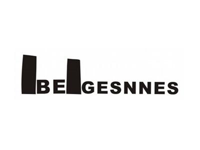 BEGESNNES