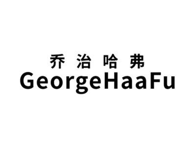乔治哈弗