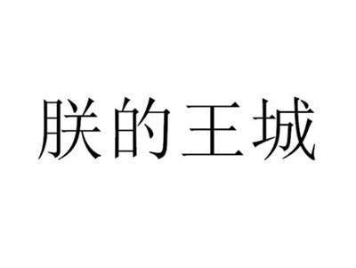 朕的王城