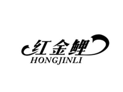 红金鲤