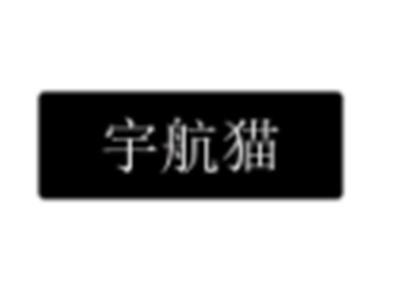 宇航猫