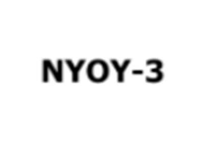 NYOY-3