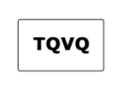 TQVQ