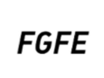 FGFE