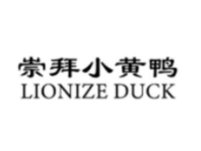 崇拜小黄鸭LIONIZEDUCK