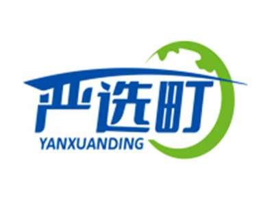 严选町YANXUANDING