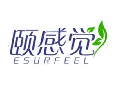 颐感觉ESURFEEL