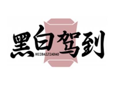 黑白驾到HEIBAIJIADAO