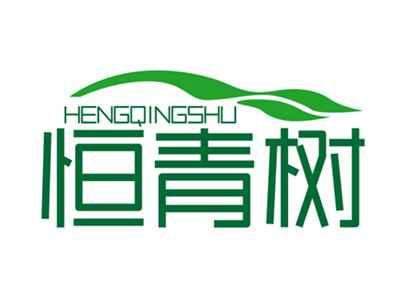 恒青树HENGQINGSHU