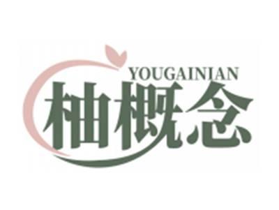 柚概念YOUGAINIAN