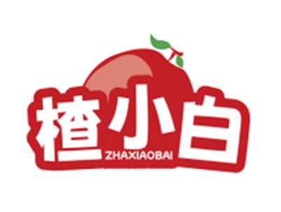 楂小白ZHAXIAOBAI