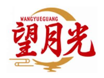 望月光WANGYUEGUANG