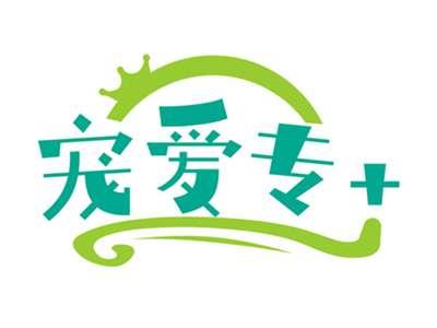 宠爱专+