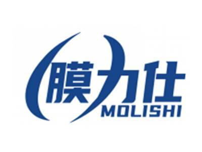 膜力仕MOLISHI