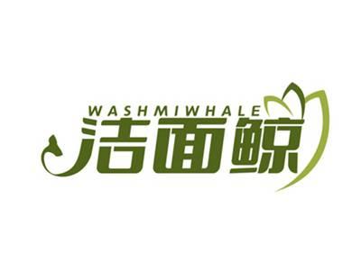 洁面鲸WASHMIWHALE
