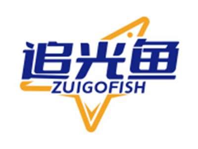 追光鱼ZUIGOFISH